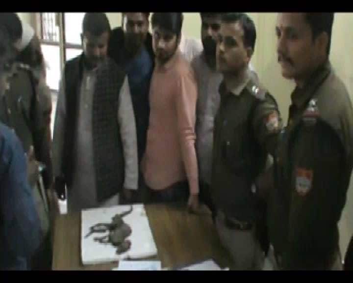 जसपुर के एक बिजलीघर में एक कमरा 12 साल से बंद था. खोला तो एक मशीन के नीचे ये जिवाश्म मिला. जिसने भी देखा हैरान रह गया. बिजली विभाग के अधिकारियों ने पुलिस और वन विभाग के लोगों को बुला लिया. पुलिसवाले इस जिवाश्म को कोतवाली ले आए.