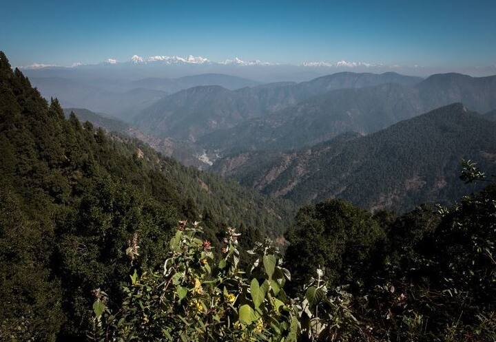 नैनीताल: उत्तराखंड की हरी भरू घाटियों में बसे नैनीताल को प्रकृति प्रेमियों के घूमने की सबसे अच्छी जगह माना जाता है. एक बार नैनीताल में सैर के लिए जाने वाली जगहों में नैनीताल लेक, गुर्नी हाउस, नैना देवी मंदिर, हनुमान गढ़ी और जिम कॉर्बेट नेशनल पार्क शामिल हैं.