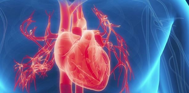 heart valve disease symptoms and treatment हार्ट वाल्व के लिए ये सर्जरी है सबसे कारगर
