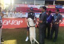 नागपुर में \'कुत्ते\' के साथ कैप्टन विराट ने की मस्ती