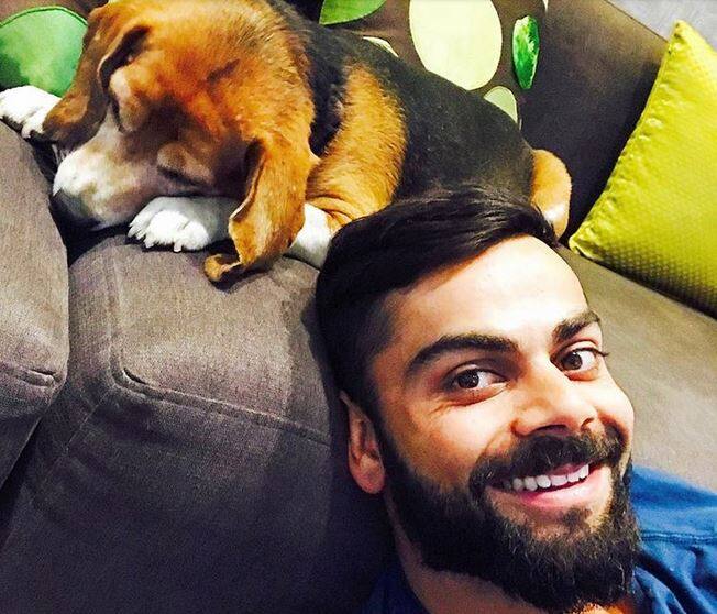 विराट ने कुछ रोज़ पहले 15 नेत्रहीन कुत्तों को गोद लिया था, जिसकी जानकारी खुद बंगलुरु स्थित चार्लीज़ एनिमल रेस्क्यु सेंटर ने दी थी.