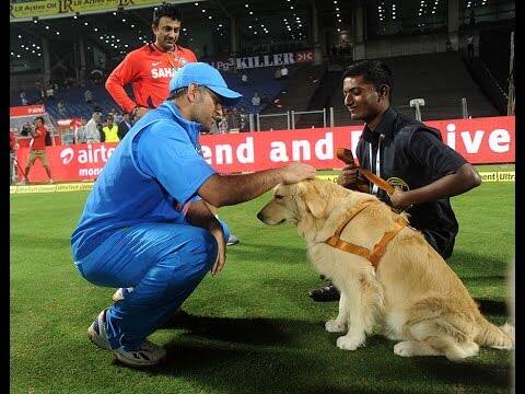 विराट के अलावा टीम इंडिया के पूर्व कप्तान एमएस धोनी भी डॉग लवर हैं और मैदान पर उन्होंने भी ऐसी ही कुछ तस्वीरें शेयर की थीं. 