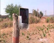 गुजरात चुनाव: PM मोदी के डिजिटल इंडिया में गुजरात के \'नो सिग्नल गांव\'