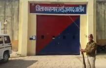 \'अद्भुत\': उत्तर प्रदेश में बगिया उजाड़ने वाले गधों को बच्चा जेल में बिताने पड़े चार दिन, मिली बेल