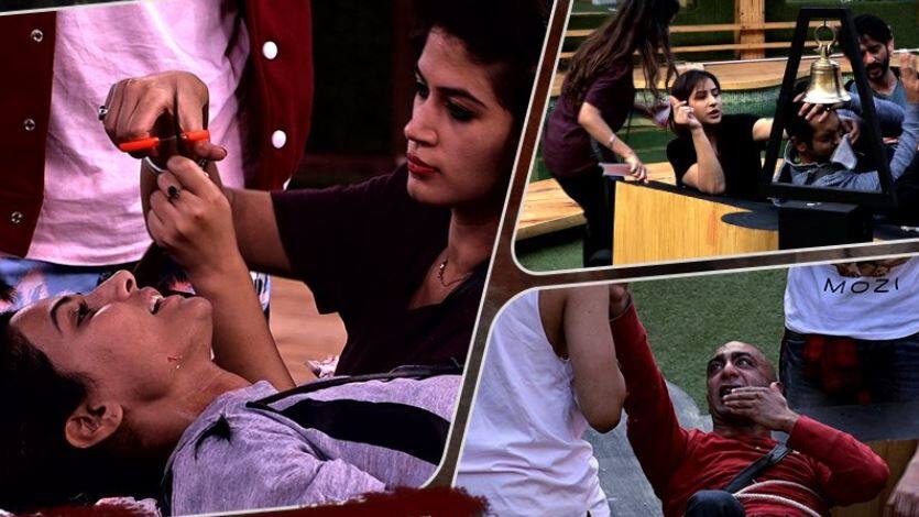 Bigg Boss 11: इस टीम ने जीता इस हफ्ते का लग्जरी बजट टास्क Bigg Boss 11: The team won this week’s luxury budget task Bigg Boss 11: इस टीम ने जीता इस हफ्ते का लग्जरी बजट टास्क