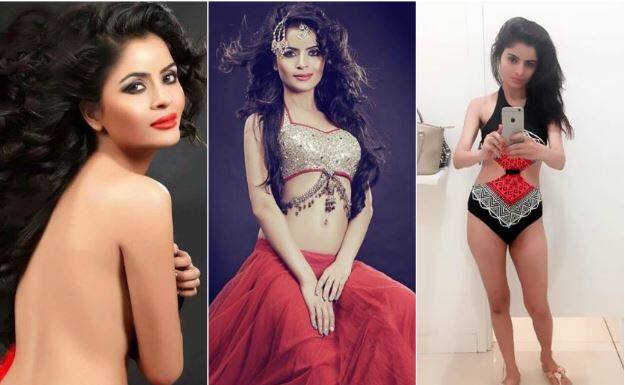 बिग बॉस 11 में सिंगर-डांसर सपना चौधरी के बाहर होने के बाद घर में एक वाइल्ड कार्ड एंट्री हो सकती है.