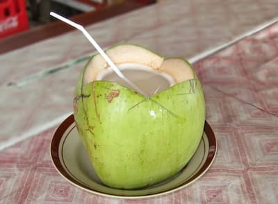 Coconut Water : नारळाच्या पाण्यात आढळणारे कॅल्शियम, मॅग्नेशियम, फॉस्फरस आणि सोडियम यांपासून शरीराला अनेक पौष्टिक घटक मिळतात. नारळाच्या पाण्यात 94 टक्के पाणी असते