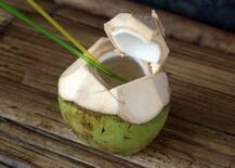 आ गई गर्मी! अब रोज पिएं नारियल पानी, हार्ट, ब्लड प्रेशर और मोटापा रहेगा कंट्रोल