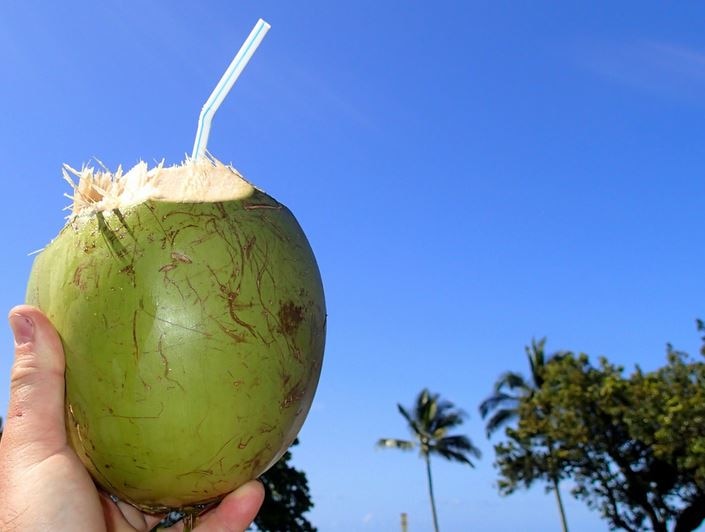 Why is drinking coconut water beneficial in the morning Coconut Water Health Tips Coconut Water Benefits : सुबह में नारियल पानी पीने के 5 बड़े फायदे ,जानिए