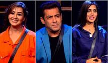 Bigg Boss 11: आमने-सामने आए अर्शी और शिल्पा, दोनों की जंग में फंसे सलमान!