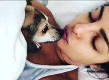 क्वॉन्टिको की शूटिंग के बीच परिवार और डॉगी के साथ कुछ ऐसे फुर्सत के पल बिता रही हैं प्रियंका