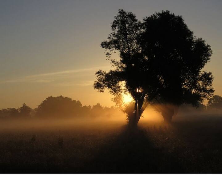 #Nature- काफी लोग नेचर लवर होते हैं और उनके इंस्टागाम्र में भी नेचर वाली पोस्ट होती हैं. इन सभी पोस्ट पर #नेचर हैशटैग यूज़ किया जाता है. हर एक तस्वीर जिसमें नेचर जैसे पेड.-पौधे, बादल, नदियां, झरने आदि होते है उन सब पर. #नेचर हैशटैग लिखा जाता है.