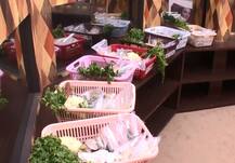 Bigg Boss 11: लग्जरी बजट टास्क में इस कंटेस्टेंट के हाथ लगी पहली बाजी