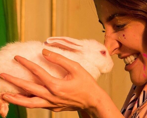 anushka sharma is person of the year for peta अनुष्का शर्मा बनीं 'पर्सन ऑफ द ईयर', PETA ने दिया बड़ा सम्मान