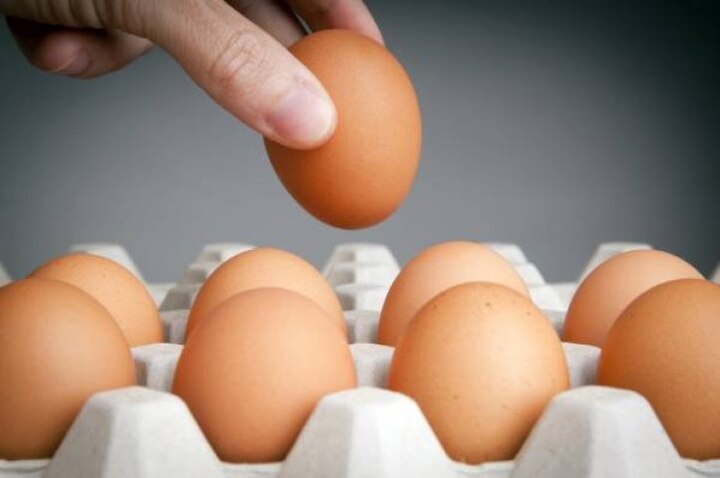 eggs really are good for you सिर्फ एक अंडा बचा सकता है कई बीमारियों से