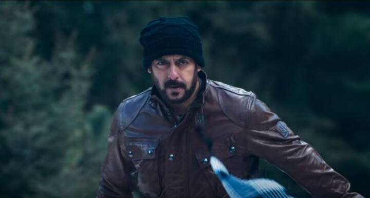 बाहुबली के बाद बॉलीवुड के दबंग खान का जादू चला दर्शकों के दिलो पर. 2017 जाते-जाते सलमान खान और उनके फैंस को एक हिट फिल्म देकर गया. साल की आखिरी रिलीज 'टाइगर जिंदा है' ने बॉक्स ऑफिस पर जमकर धमाल मचाया. इस खबर के लिखे जाने तक फिल्म करीब 216 करोड़ की कमाई कर चुकी है और अभी भी फिल्म की कमाई लगातार जारी है. फिल्म में दबंग खान के लंबे समय बाद कैटरीना कैफ बड़े पर्दे पर नजर आई और दर्शकों ने इसे खूब पसंद किया. फिल्म का निर्देशन अली अब्बास जफर ने किया है. 