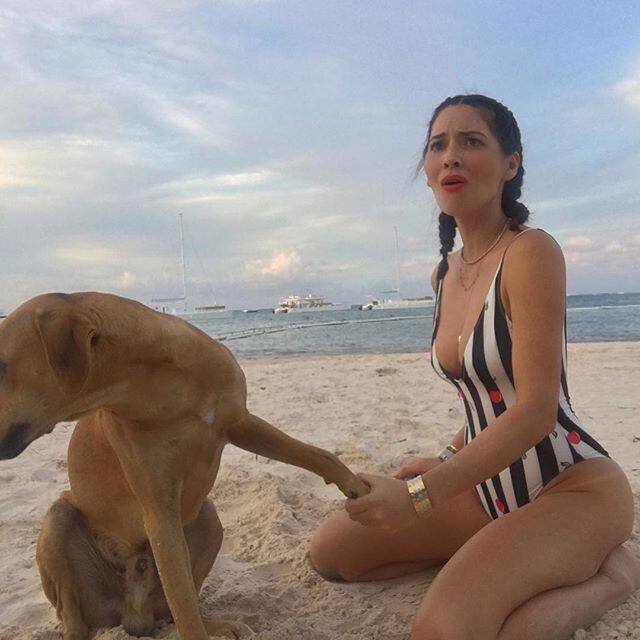 इस तस्वीर के कैप्शन में उन्होंने लिखा है कि पेट्स के मामले में लोगों को दुकान नहीं जाना चाहिए बल्कि अडॉप्ट करना यानी गोद लेना चाहिए.