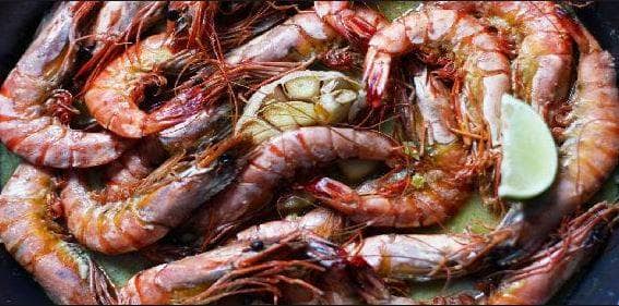Hyderabad seminary Zamia nizamia issues fatwa against eating prawns हैदराबाद की इस्लामिक संस्था का फतवा: मुसलमान झींगा खाने से परहेज करें