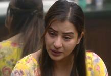 Bigg Boss 11: एक बार फिर शिल्पा शिंदे का हुआ रो-रो कर बुरा हाल