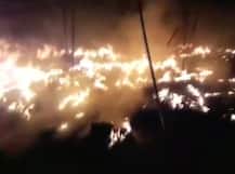 दर्दनाक: गुजरात में आग से 3 छात्राओं और जयपुर में सिलेंडर फटने से 5 लोगों की मौत