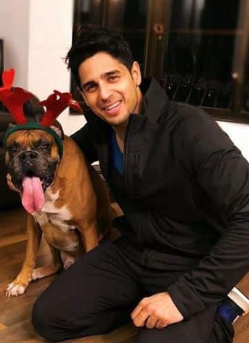 सिद्धार्थ मल्होत्रा मुंबई में ही रहते हैं और घर में उन्हें सबसे ज्यादा 'ऑस्कर' की कंपनी पसंद है. ऑस्कर उनका पैट डॉग है. आपको बता दें कि सिद्धार्थ को पालतू जानवरों से बहुत प्यार है. ऑस्कर ही उनका सबसे अच्छा रूममेट है. (Photo: s1dofficial)