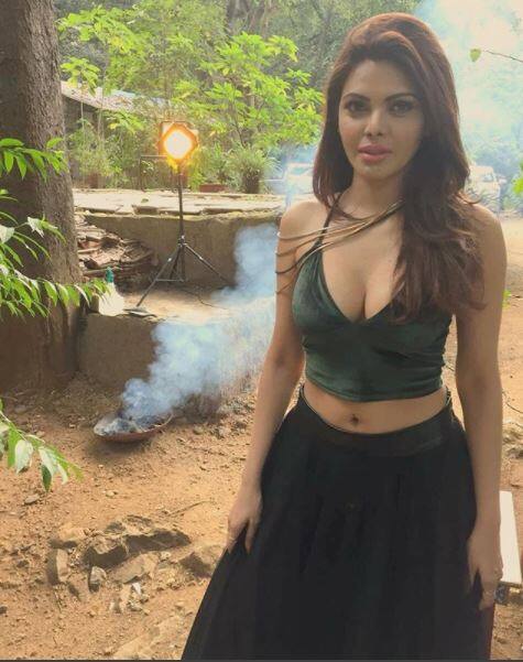 शर्लिन एमटीवी के शो Splitsvilla का भी हिस्सा रह चुकी हैं.