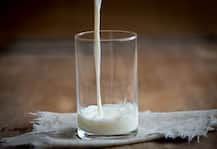 IIT शोधकर्ता कर रहें हैं ऐसी स्मार्टफोन टेक्नॉलजी पर काम जिससे दूध में हुई मिलावट का हो जाएगा पर्दाफाश