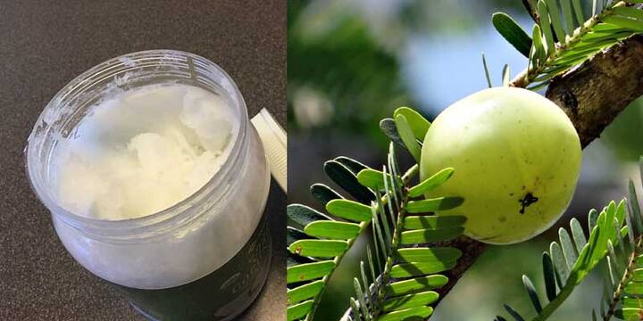 आंवला और नारियल का तेल- आंवला विटामिन सी, कैल्शियम, फास्फोरस और आयरन से भरपूर होता है. ये बालों को शाइनिंग देने के साथ ही काला भी करता है. बालों को एक्स्ट्रा शाइनिंग देने के लिए इसमें नारियल का तेल मिला लें. 1 से 2 आंवला लें. इसमें कुछ चम्मच आंवले के मिला लें. आंवले का पीस लें. इसमें से जूस और पल्प को अलग कर लें. आंवले के जूस में नारियल का तेल मिलाएं. अच्छे रिजल्टल के लिए इस मिक्चर को हल्का गुनगुना कर लें.