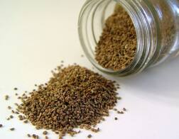 Ajwain Use In Summer : उन्हाळ्यात ओवा खाण्याचे फायदे, जाणून घ्या