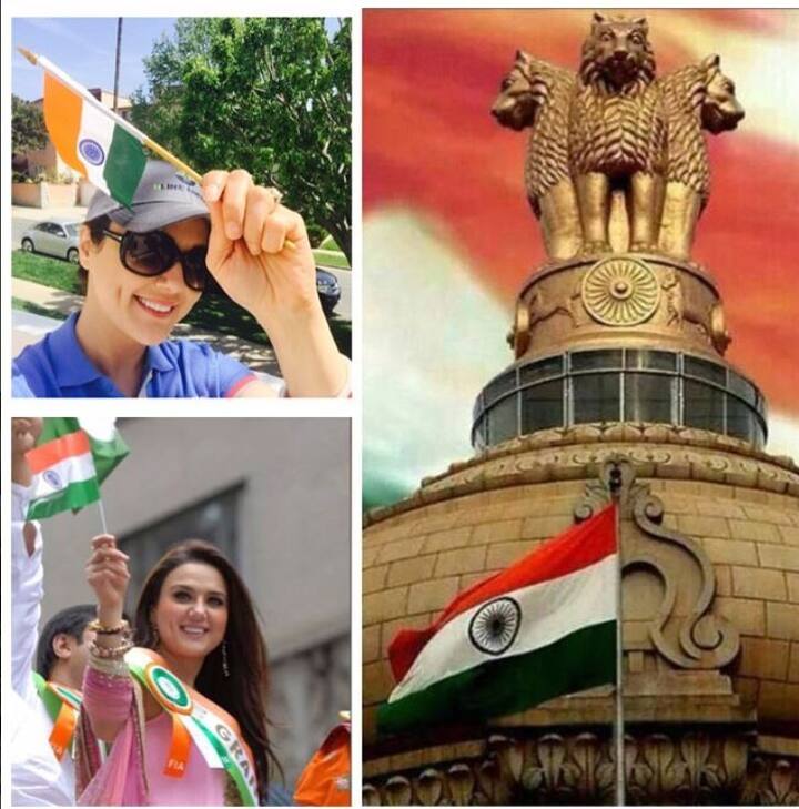 उन्होंने अपने टेलीविजन करियर की शुरुआत टीवी चैनल कलर्स पर प्रसारित होने वाले रियलिटी शो 'गिनीज वल्र्ड रिकॉर्ड-अब इंडिया तोड़ेगा' से की थी. इस शो में वह बतौर जज की भूमिका में नजर आई थीं. वह साल 2015 में नृत्य आधारित रियलिटी शो 'नच बलिए' में भी निर्णायक मंडल की सदस्य के रूप में दिखाई दीं. प्रीति अपनी खूबसूरती को लेकर सुर्खियां बटोरती रही हैं. वह किंग्स इलेवन पंजाब की सह-मालकिन भी हैं. हाल ही में वह इंडियम प्रीमियर लीग (आईपीएल) के 11वें सीजन की नीलामी के पहले दिन नजर आईं.