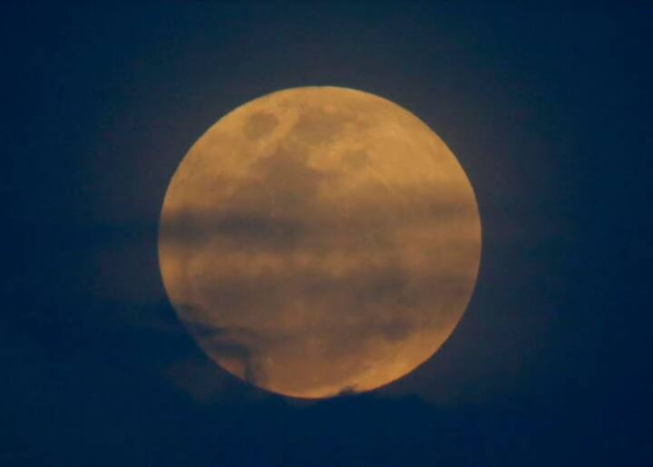 फिलीपींस ब्लू मून.