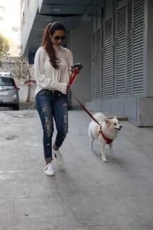 Girls Gang को भूल डॉगी को घूमाने निकलीं मलाइका अरोड़ा, ये रही खूबसूरत तस्वीरें