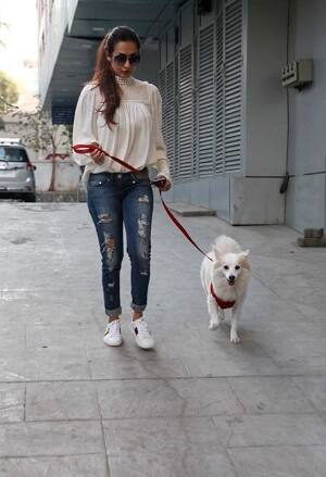 मलाइका अपनी फीगर और फिटनेस का सबसे ज्यादा ध्यान रखती हैं. वो लगातार जिम और योगा करती हैं. (तस्वीर: मानव मंगलानी)