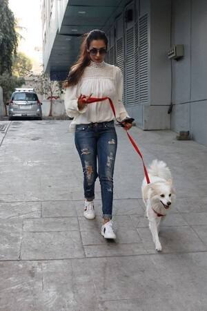 मलाइका की ऐसी खूबसूरत तस्वीरें देखने के बाद फैंस को उनकी फिल्मों में वापसी का काफी बेसब्री से इंतजार है. (तस्वीर: मानव मंगलानी)