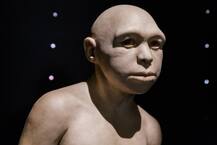 ‘डार्विन सप्ताह’ मनाकर बताएंगे वैज्ञानिक, बंदर से कैसे हुई आदमी की उतपत्ति