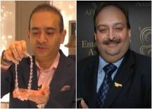 Exclusive: PNB घोटाले का आरोपी नीरव मोदी देश छोड़ कर भागा, 9 ठिकानों पर ईडी की छापेमारी