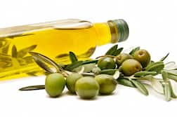 Olive Oil Benefits: ऑलिव ऑयल में छिपा है सेहत का खजाना, इसे बाजार से न लाएं,  घर पर ही बनाएं, बेहद आसान है तरीका