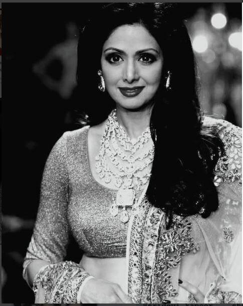  हिंदी सिनेमा की दिग्गज अदाकारा श्रीदेवी का बीती रात दुबई में दिला का दौरा पड़ने से निधन हो गया. ये अभिनेत्री दुबई में एक फैमिली वेडिंग अटेंड करने गई थीं. इस शादी में श्रीदेवी ने काफी इन्जॉय किया था. आपको दिखा रहे हैं इस अभिनेत्री की आखिरी तस्वीरें