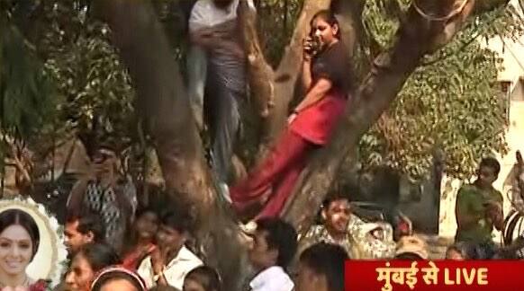 बता दें कि श्रीदेवी को गार्ड ऑफ ऑनर देने के बाद पूरे राजकीय सम्मान से उनका अंतिम संस्कार किया जाएगा. कला के क्षेत्र में उनके बड़े और अहम योगदान के लिए उन्हें पमदश्री के सम्मान से नवाजा जा चुका है.