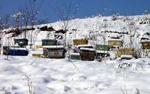 सर्दियों के मौसम में श्रीनगर में प्रदूषण सबसे खतरनाक स्तर पर