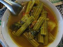 ड्रमस्टिक की पत्तियों से लेकर छाल तक है फायदेमंद