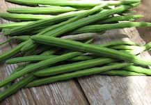 सहजन : हड्डियों को रखता है स्वस्थ, लिवर के लिए भी फायदेमंद, जानें इसके पांच बड़े फायदे