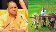 किसानों के लिए योगी सरकार का बड़ा फैसला, 72 घंटे में किया जाएगा गेहूं का पेमेंट