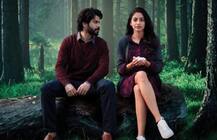 Box Office: चौथे दिन बस इतना ही कमा पाई वरुण धवन की ‘अक्टूबर’