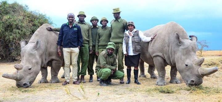 उसके मौत के बाद अब उसी उप-प्रजाति (subspecies) से आने वाली उसकी बेटी नाजिन (27) और पोती फाटू (17) बचे हैं. यह उत्तरी गैंडों की उप प्रजाति वाली आखिरी दो मादाएं हैं.