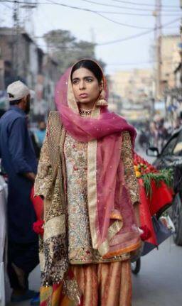 इस महीने की शुरुआत में देश की संसद में ट्रांसजेंडर समुदाय के अधिकारों की सुरक्षा के लिए बिल पास किया गया. बिल के प्रावधानों में व्यक्ति को पहचान पत्र में अपना लिंग बदलने का अधिकार है, संपत्ति का उत्तराधिकार है और अगर कोई ट्रांसजेंडर सरकारी पद पर है तो उसके साथ भेद-भाव नहीं किया जा सकता है.