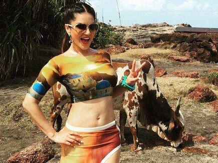 किसी ने की सनी लियोनी की गाय चुराने की कोशिश तो एक्ट्रेस ने यूं सिखाया सबक someone tried to stole sunny leone cow actress give death look किसी ने की सनी लियोनी की गाय चुराने की कोशिश तो एक्ट्रेस ने यूं सिखाया सबक