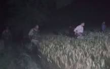 बुलंदशहर: मुठभेड़ में 20 हजार का इनामी बदमाश गिरफ्तार, कई अपराधों में था आरोपी