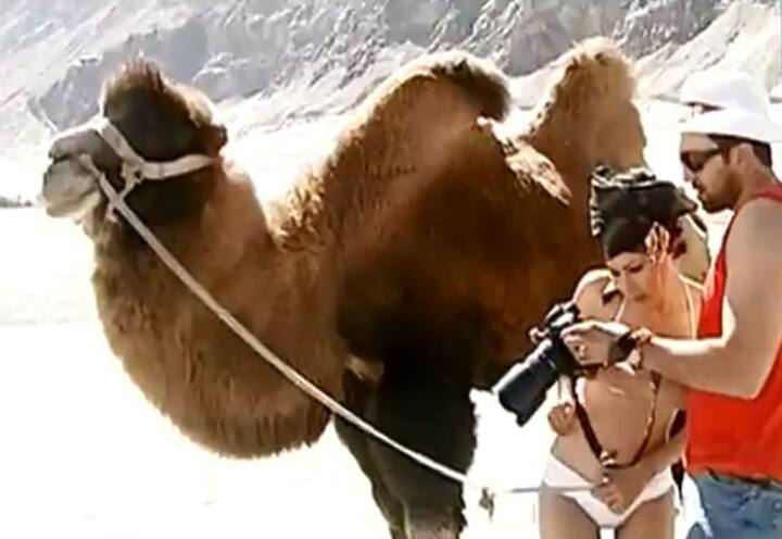 विजय माल्या को न केवल पार्टियों का शौक है बल्कि उन्हें कारों से भी खास लगाव है. कारों को लेकर उनके प्यार का अंदाजा आप इसी बात से लगा सकतें हैं कि किसी पुराने कारों के शोरूम में उतनी गाडि़यां नहीं होंगी जितनी की माल्या के गैराज में हैं. 