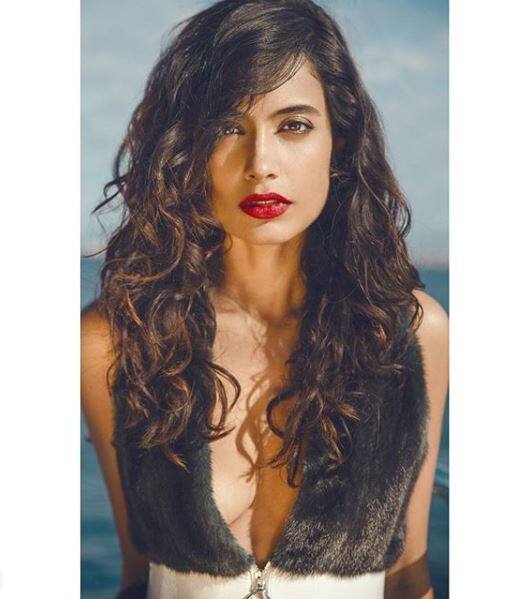 डियास जल्द ब्रिटिश फिल्म 'वॉयसरॉय हॉउस' में दिखने वाली हैं.